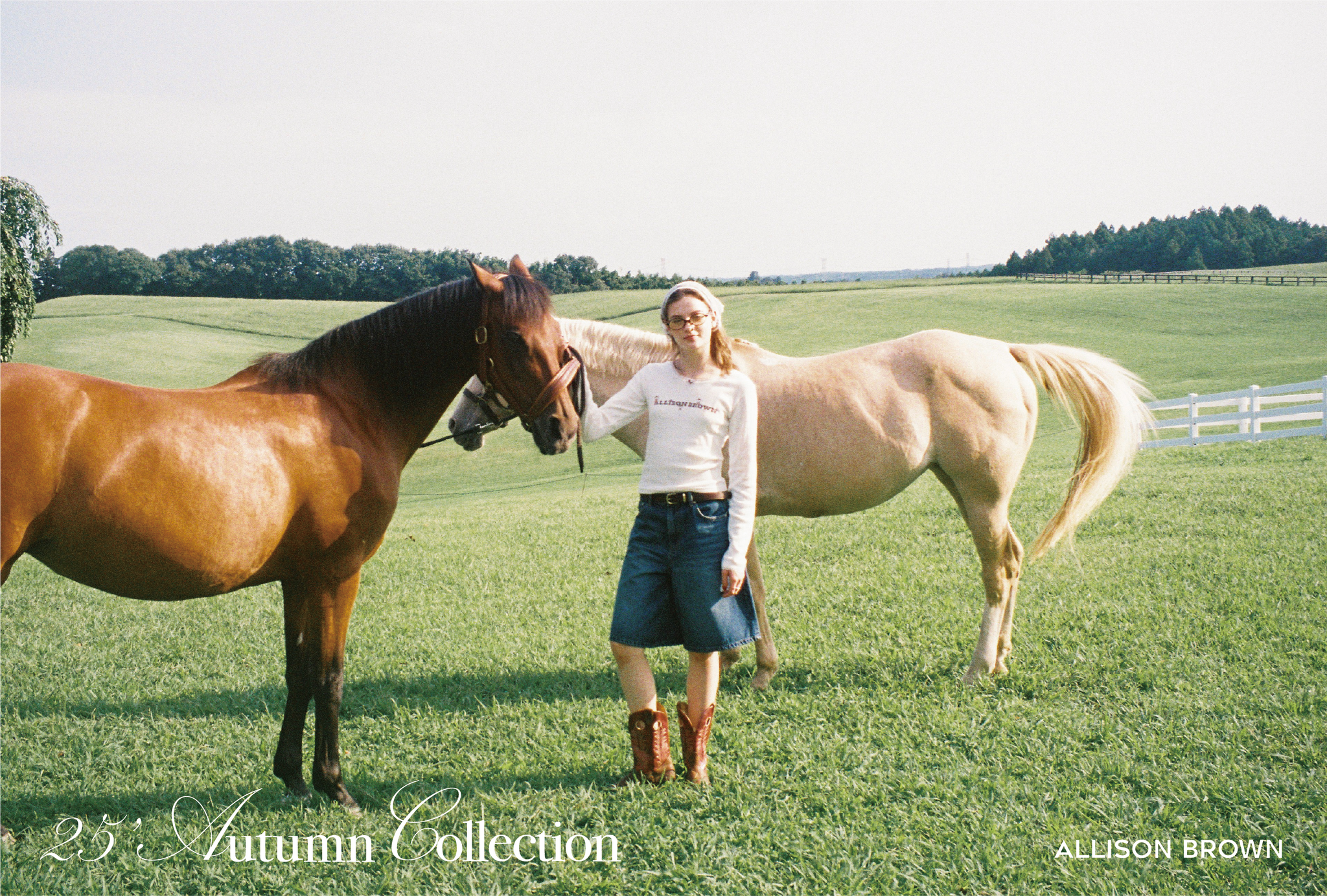 BLOG – ALLISON BROWN