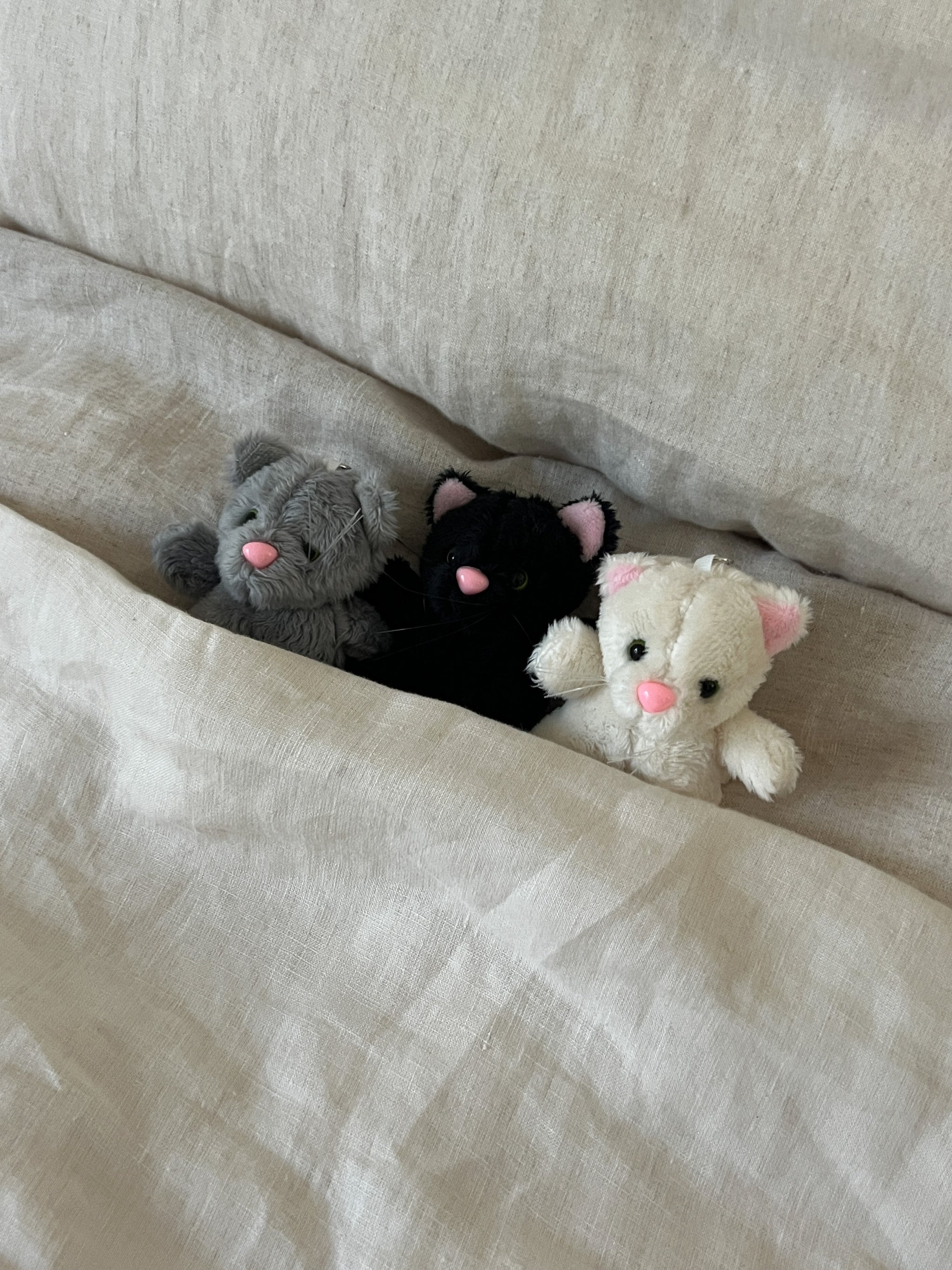 Cutesy Cat Charm – ALLISON BROWN