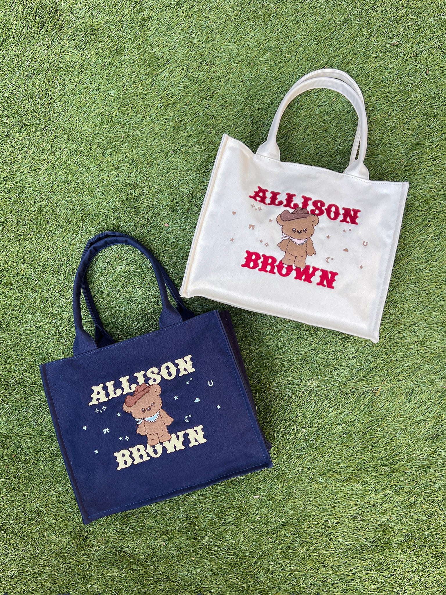 BAG – ALLISON BROWN